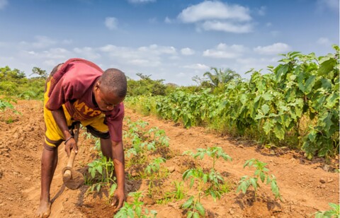 food security